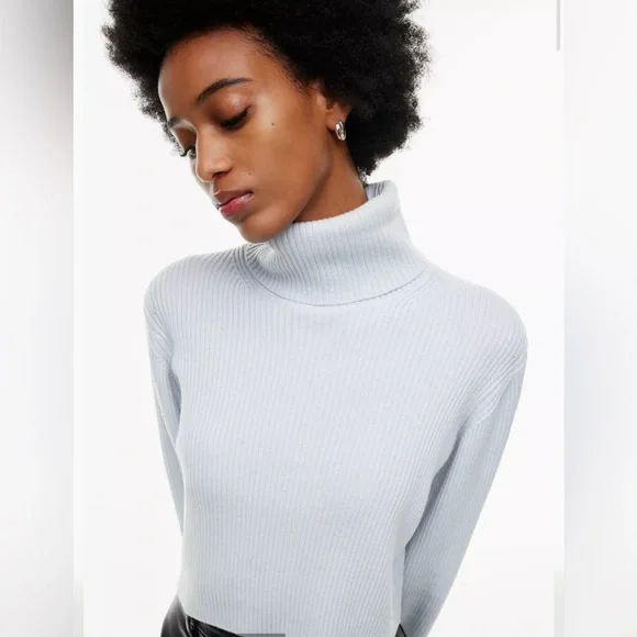 NWT Aritzia Wilfred Rebecca Turtleneck Sweater Merino Wool Frozen Grey Small - Picture 2 of 16